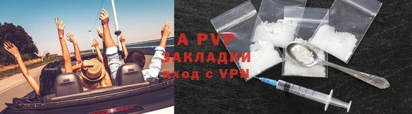 a pvp Аркадак