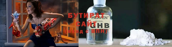 прущие грибы Дмитриев