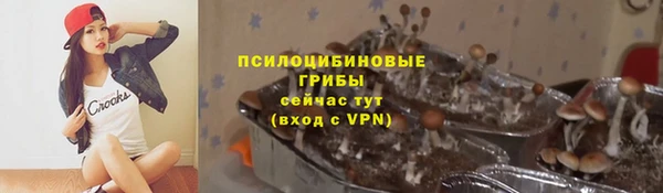 соль ск Вязники