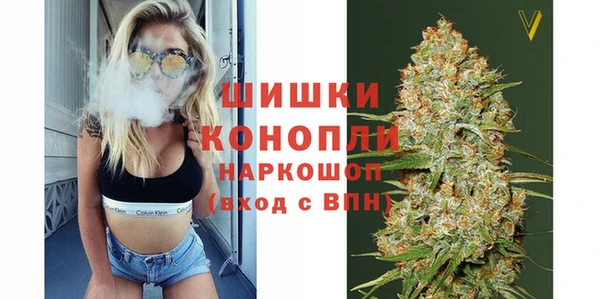 прущие крисы Арсеньев