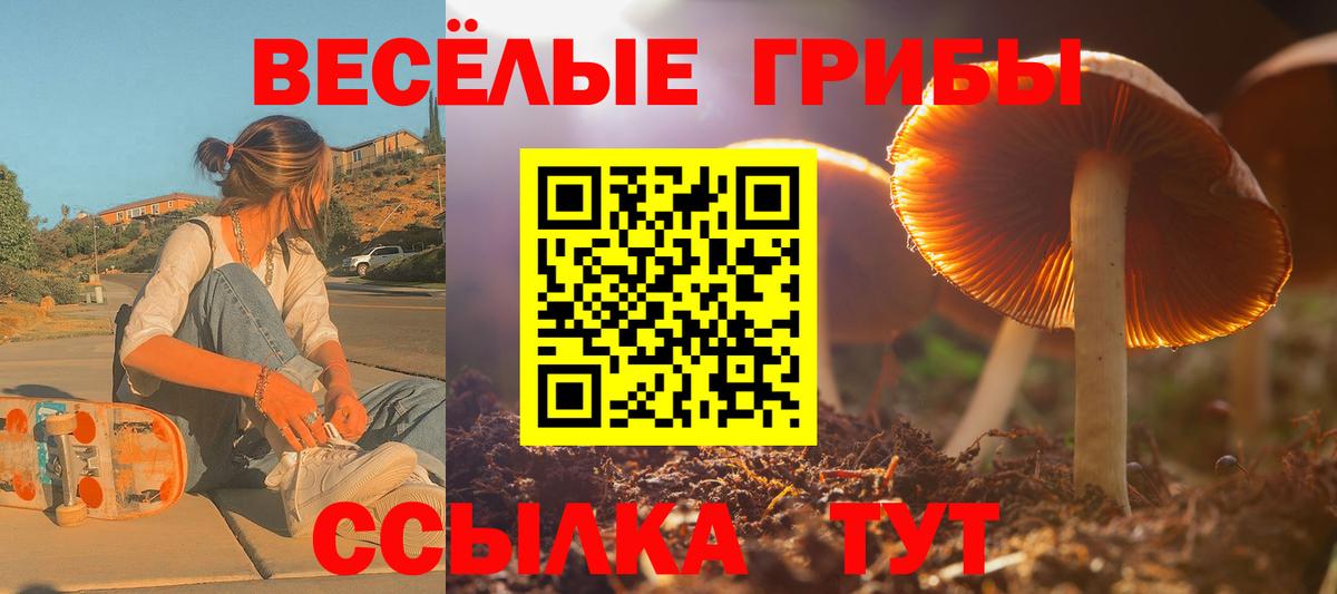 Галлюциногенные грибы MAGIC MUSHROOMS Курганинск